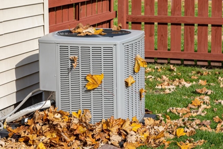 Leaf's in an outdoor unit